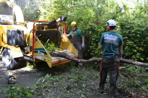 tree services Kalifornsky